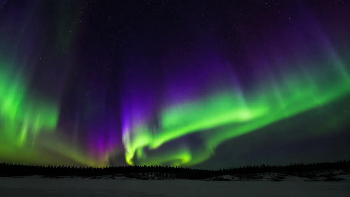 Representative aurora borealis over the dark boreal horizon near Yellowknife.