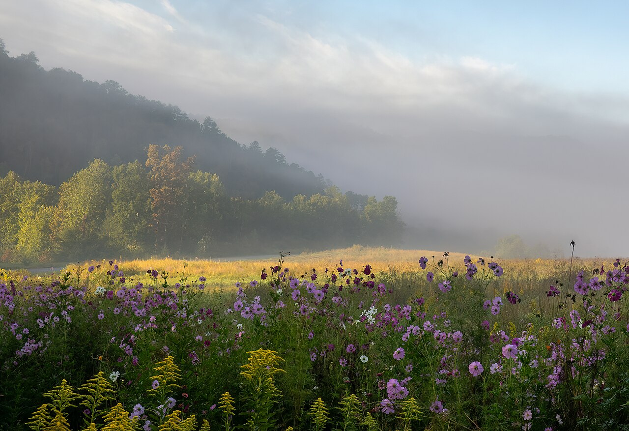 Great Smoky Mountains subject photograph representing the camera location or featured view in Gatlinburg, Tennessee.