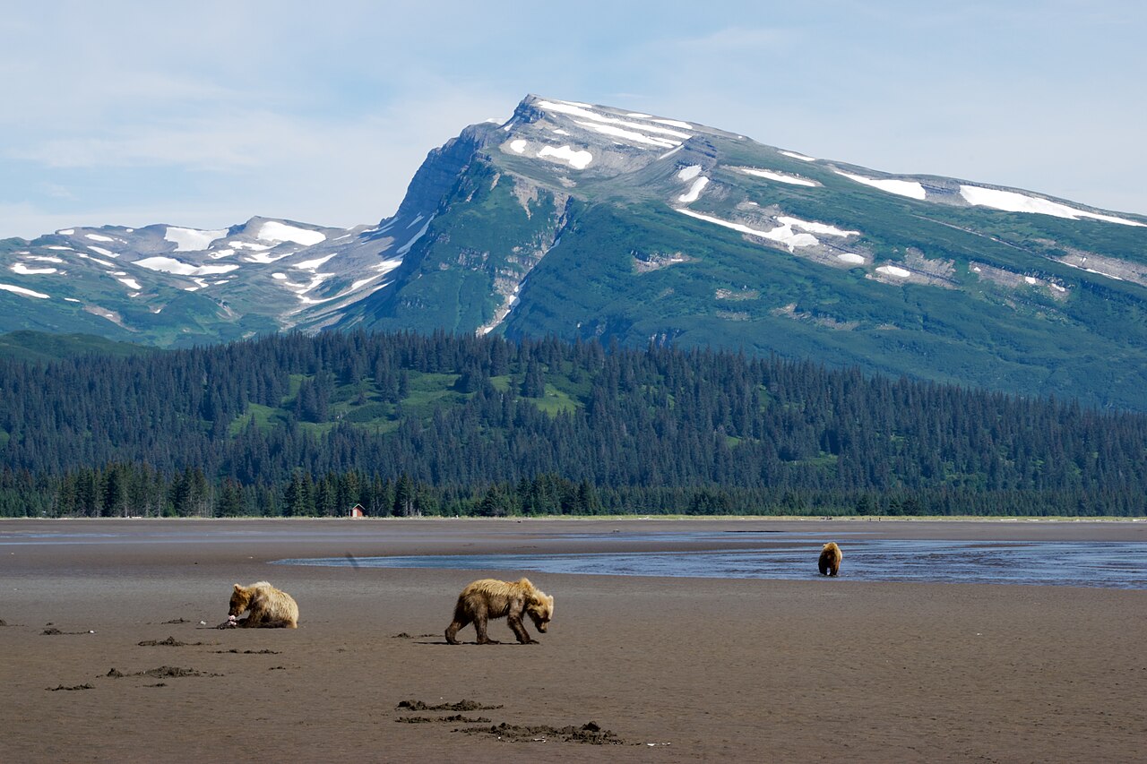 Lake Clark Weather Cameras subject photograph representing the camera location or featured view in Lake Clark, Alaska.