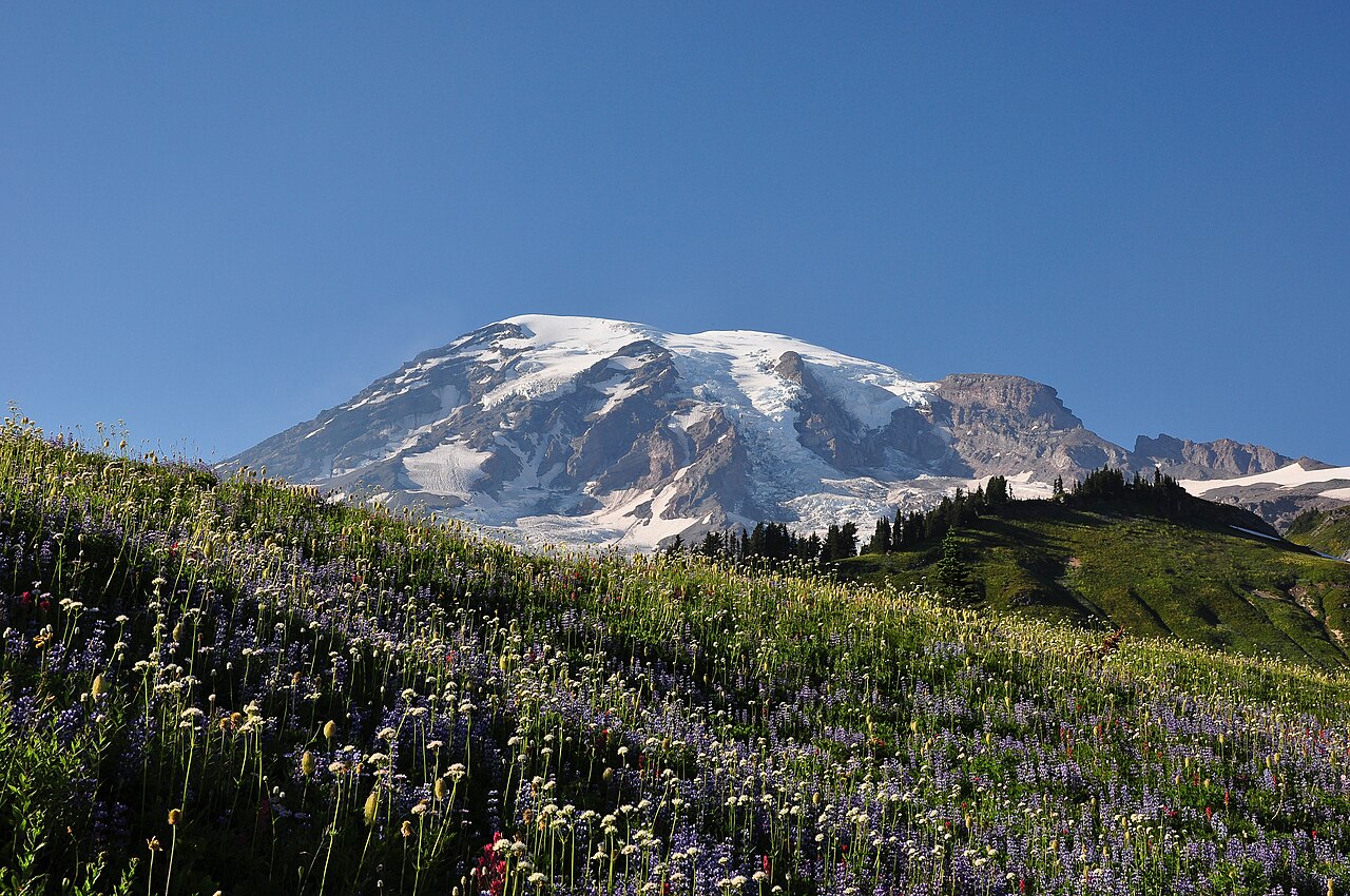 Mount Rainier Conditions subject photograph representing the camera location or featured view in Mount Rainier, Washington.