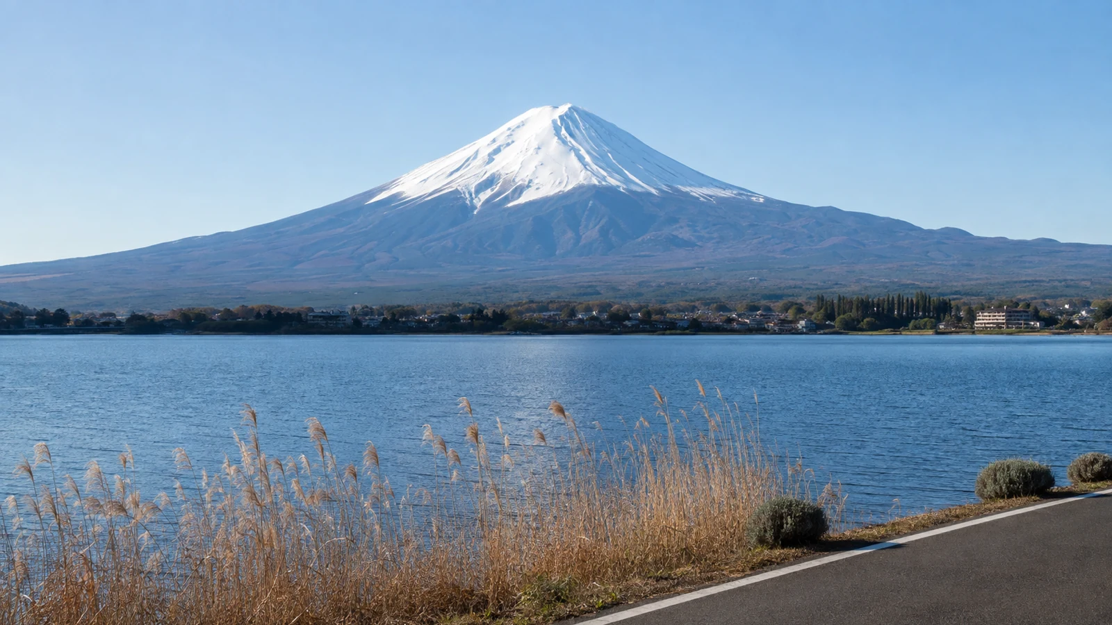 Representative subject image for Mount Fuji Live Cameras in Yamanashi and Shizuoka.